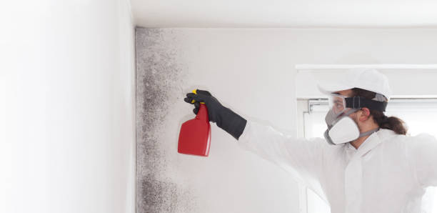 Best Emergency Mold Removal  in Utica, OH