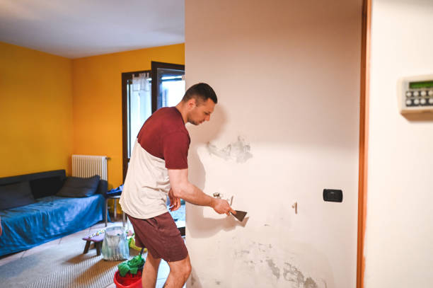 Best Home Mold Removal  in Utica, OH