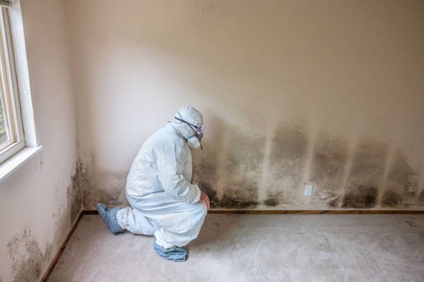 Best Residential Mold Removal  in Utica, OH