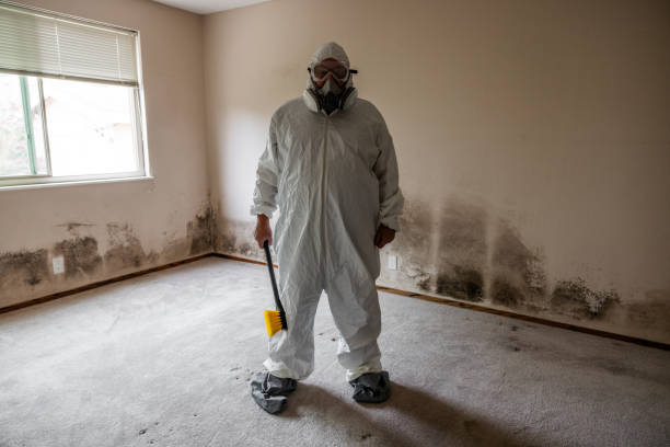 Best Mold Remediation  in Utica, OH